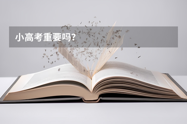 小高考重要吗？