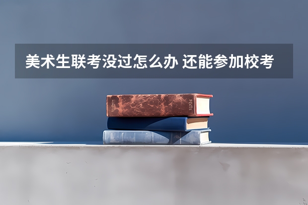 美术生联考没过怎么办 还能参加校考吗