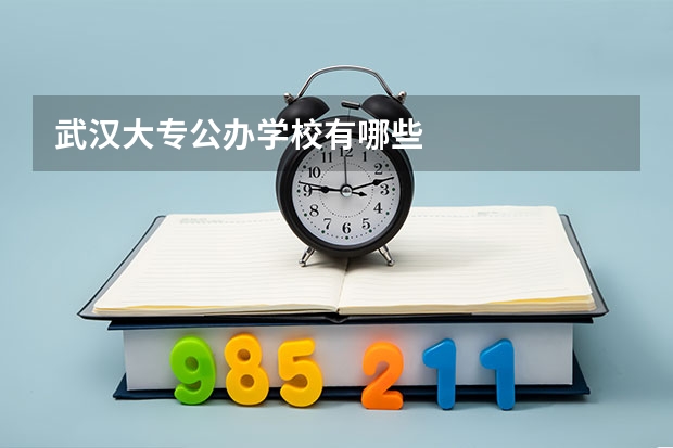 武汉大专公办学校有哪些