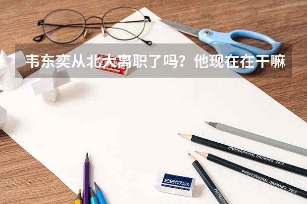 韦东奕从北大离职了吗？他现在在干嘛？