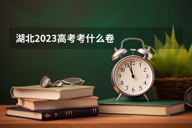 湖北2023高考考什么卷