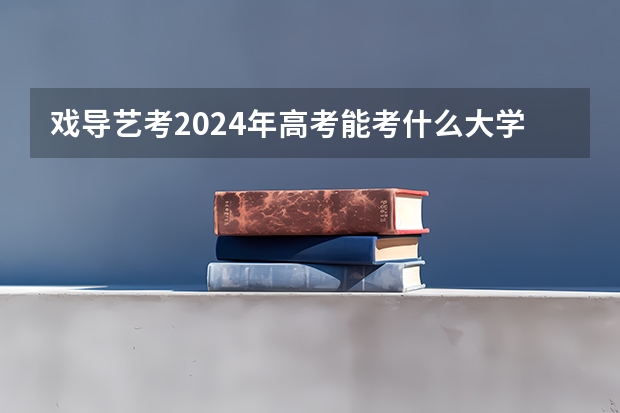 戏导艺考2024年高考能考什么大学？