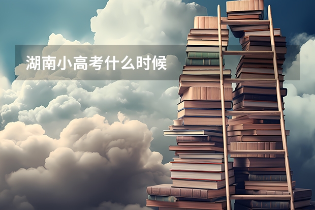 湖南小高考什么时候