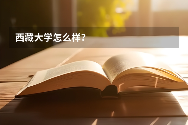 西藏大学怎么样？