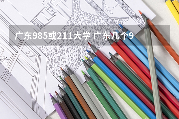 广东985或211大学 广东几个985 211大学