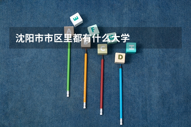 沈阳市市区里都有什么大学