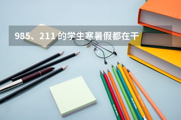 985、211 的学生寒暑假都在干什么？