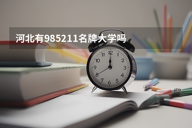 河北有985211名牌大学吗
