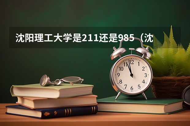 沈阳理工大学是211还是985（沈阳理工大学是211还是985）