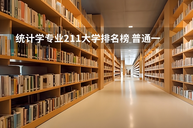 统计学专业211大学排名榜 普通一本计算机专业排名
