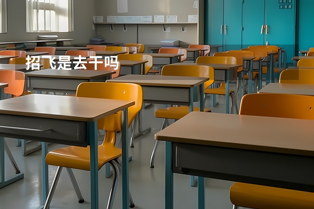 招飞是去干吗