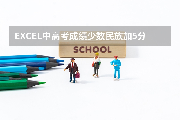 EXCEL中高考成绩少数民族加5分汉族不加分,求出加分后的成绩,如何使用计算