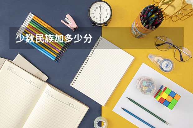 少数民族加多少分