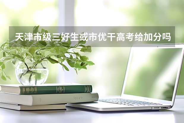 天津市级三好生或市优干高考给加分吗?加多少分?
