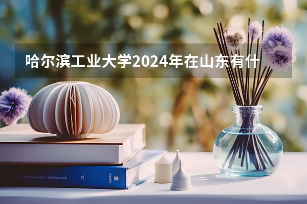 哈尔滨工业大学2024年在山东有什么招生计划