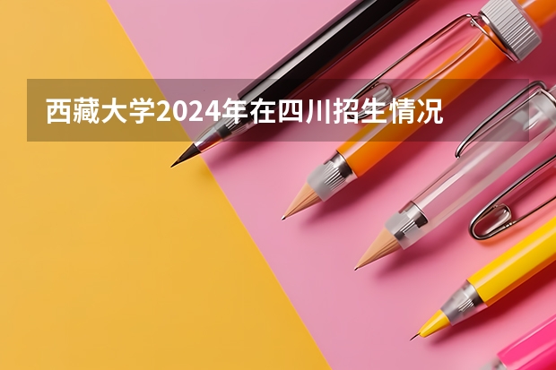 西藏大学2024年在四川招生情况
