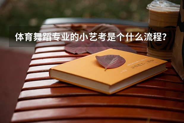 体育舞蹈专业的小艺考是个什么流程？