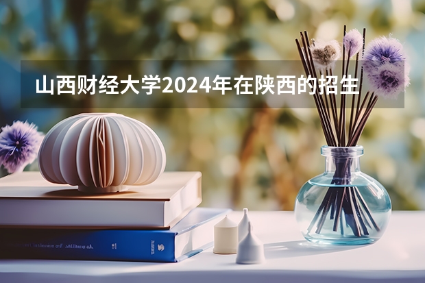 山西财经大学2024年在陕西的招生情况