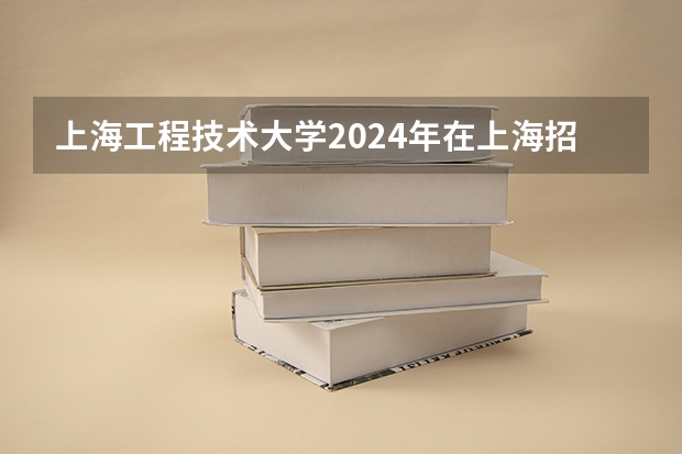 上海工程技术大学2024年在上海招生情况