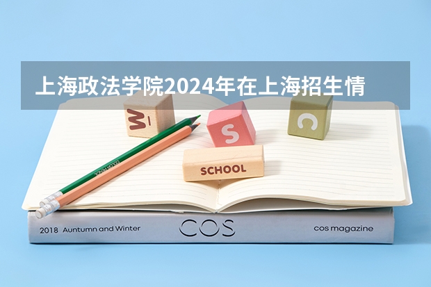 上海政法学院2024年在上海招生情况