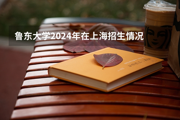 鲁东大学2024年在上海招生情况