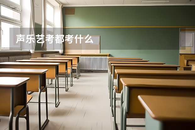 声乐艺考都考什么