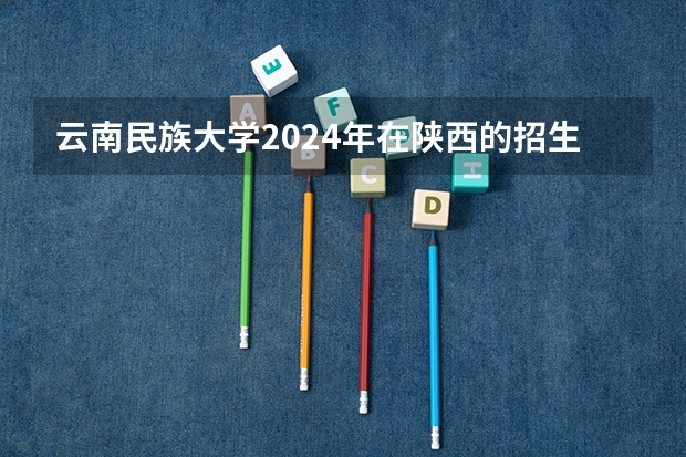 云南民族大学2024年在陕西的招生情况