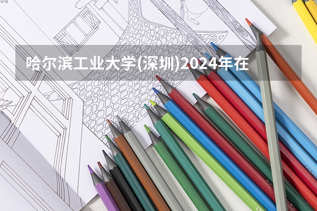 哈尔滨工业大学(深圳)2024年在上海招生情况
