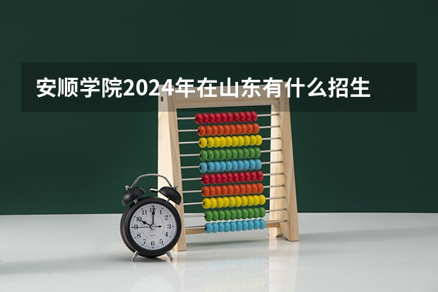 安顺学院2024年在山东有什么招生计划