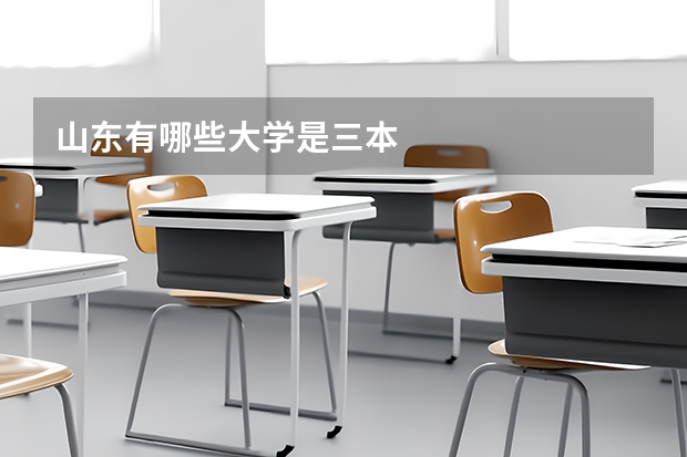 山东有哪些大学是三本