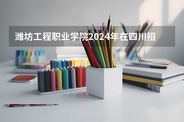 潍坊工程职业学院2024年在四川招生情况
