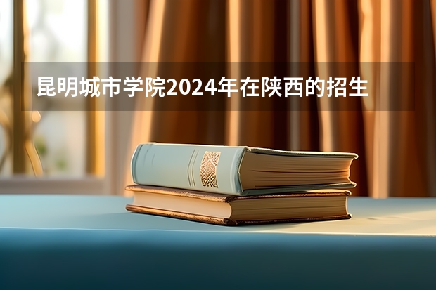昆明城市学院2024年在陕西的招生情况