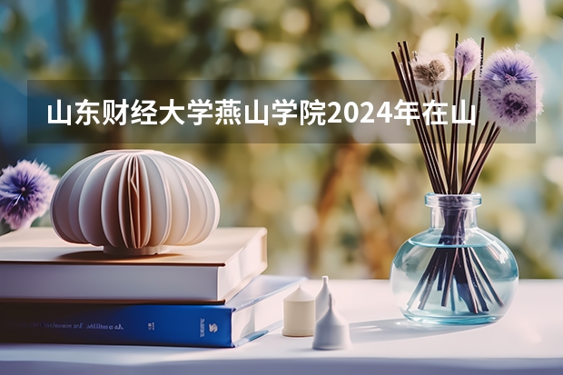 山东财经大学燕山学院2024年在山东有什么招生计划