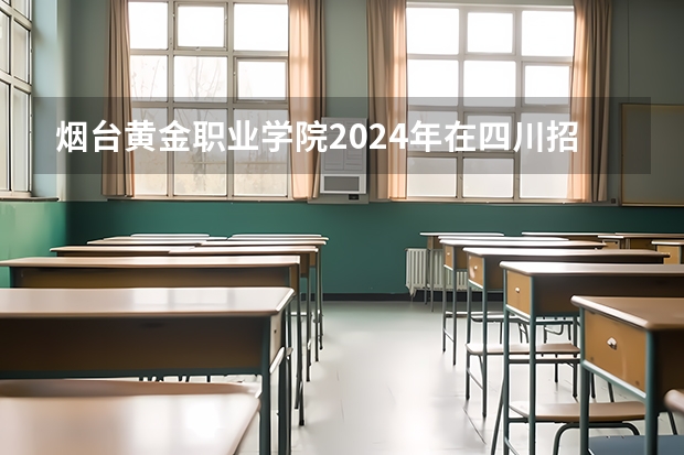 烟台黄金职业学院2024年在四川招生情况