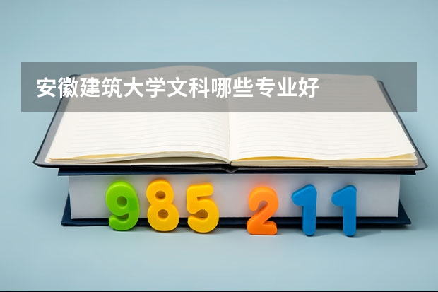 安徽建筑大学文科哪些专业好