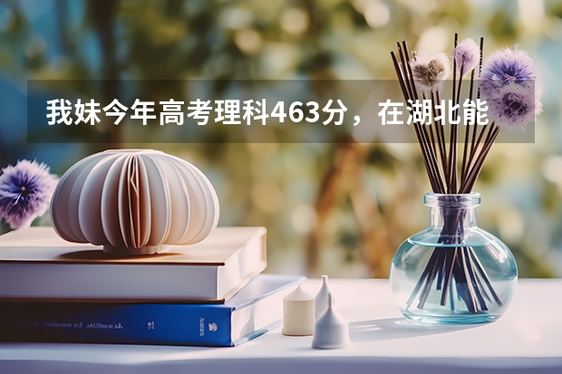 我妹今年高考理科463分,在湖北能报什么学校?