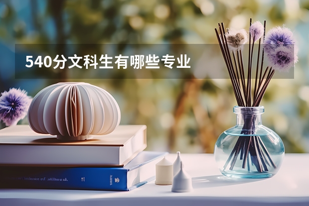 540分文科生有哪些专业