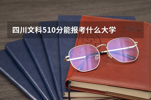 四川文科510分能报考什么大学