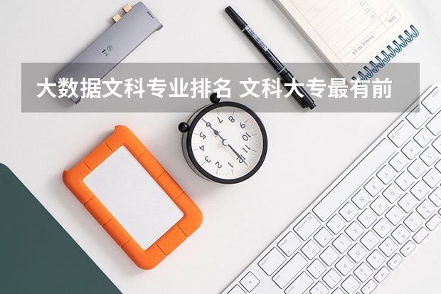 大数据文科专业排名 文科大专最有前途的十大专业排名