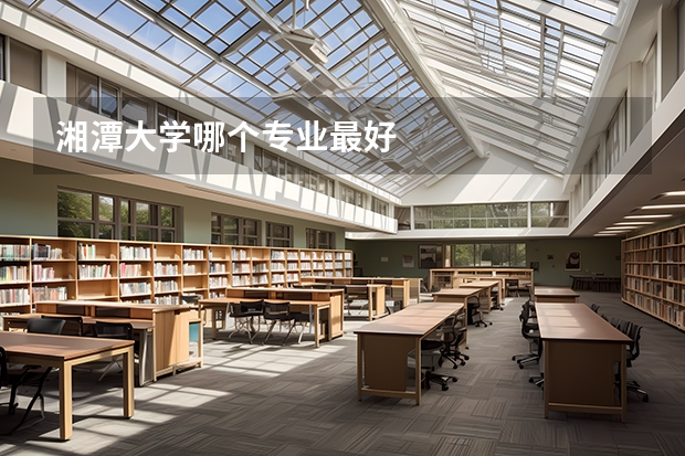湘潭大学哪个专业最好