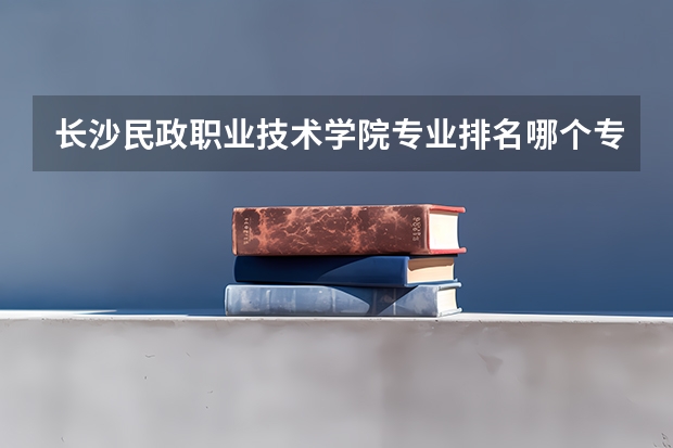 长沙民政职业技术学院专业排名哪个专业好满意度Top10