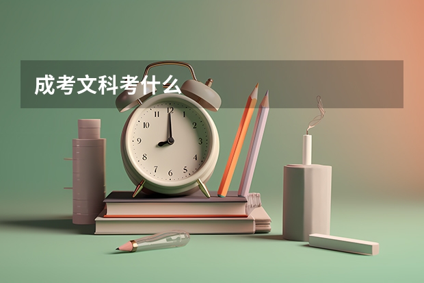 成考文科考什么