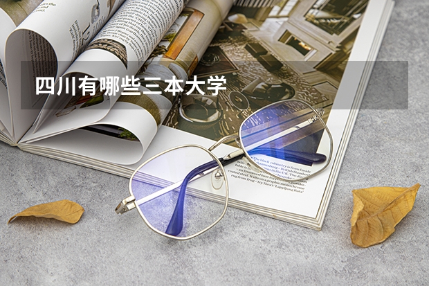 四川有哪些三本大学