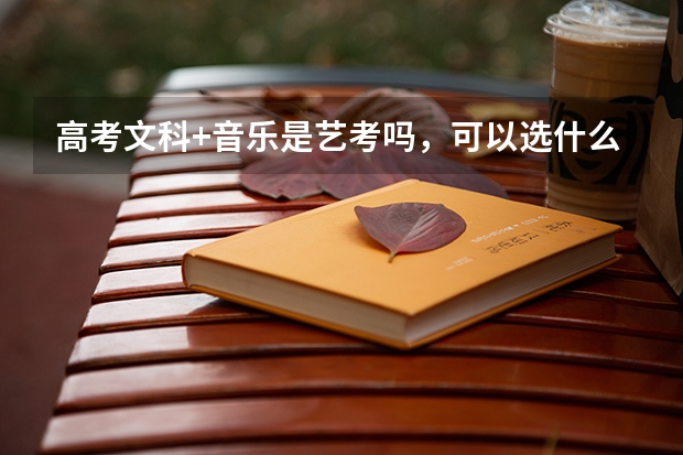 高考文科+音乐是艺考吗，可以选什么专业，还可以选文科的专业吗？