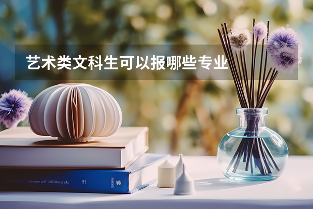 艺术类文科生可以报哪些专业