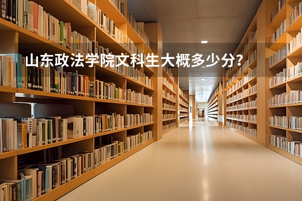 山东政法学院文科生大概多少分？