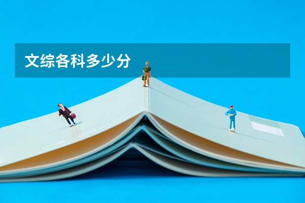 文综各科多少分