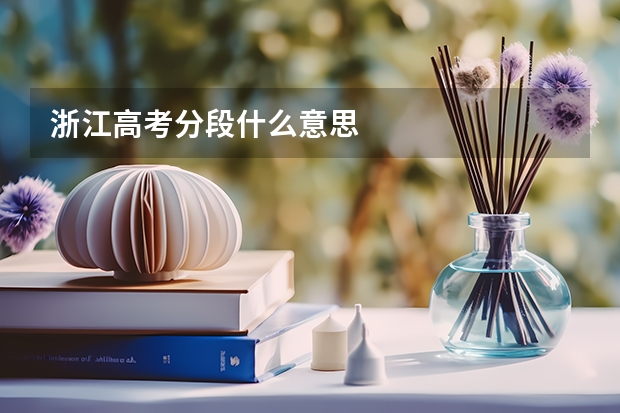 浙江高考分段什么意思