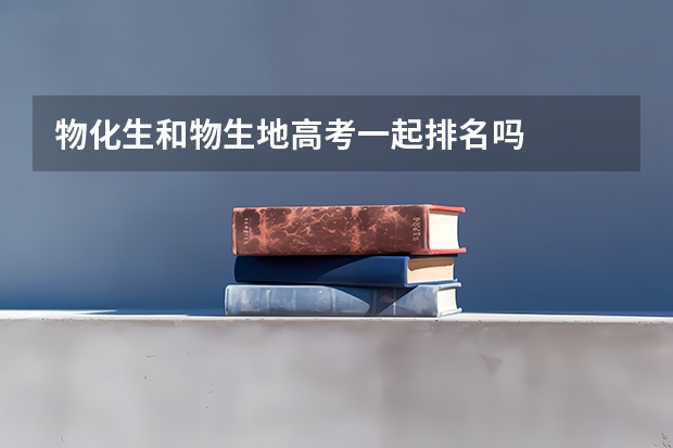 物化生和物生地高考一起排名吗