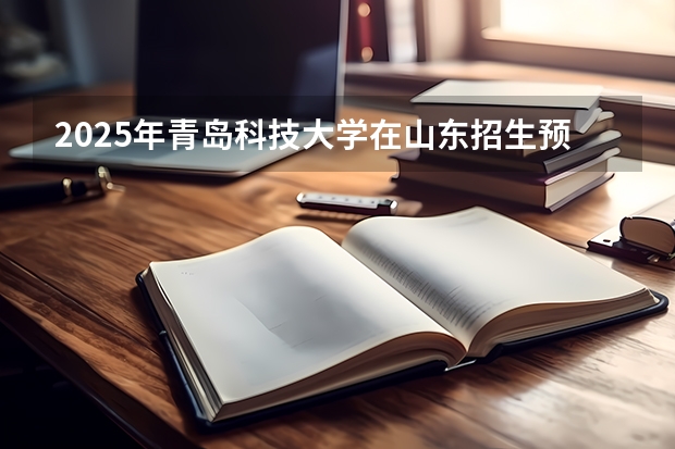 2025年青岛科技大学在山东招生预测
